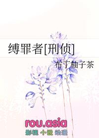 缚罪者[刑侦]封面