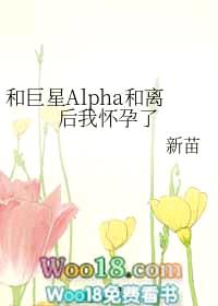 和巨星Alpha和离后我怀孕了封面